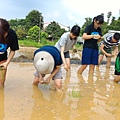 20150917 水田整地、插秧