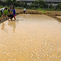 20150917 水田整地、插秧