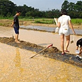 20150917 水田整地、插秧