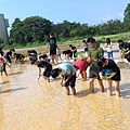 20150917 水田整地、插秧