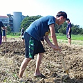 20150924 旱田整地