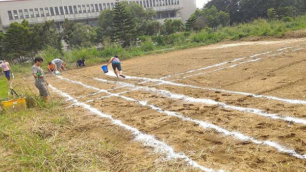 20150923 畫線、開畦、作溝