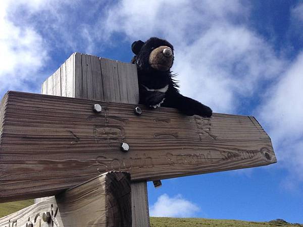 11693906_10153668019716067_2511705099655975929_n