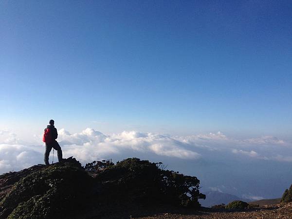 IMG_9937.JPG IMG_9937.JPG