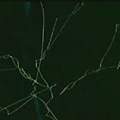 (魔動王39.rmvb)[00.19.36.121].jpg