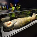 大英博物館藏埃及木乃伊-第二區-來自底比斯的已婚婦女奈絲塔沃婕特-內棺-002.jpg
