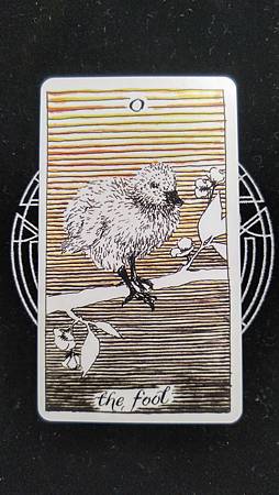 0愚人-Wild Unknown Tarot.jpg