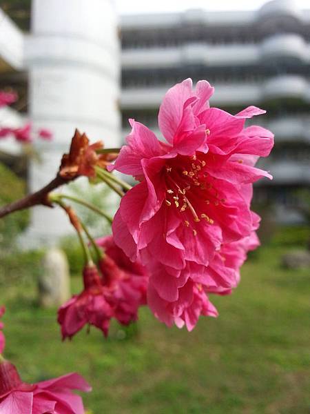 12019099_568198483330352_580815519_o.jpg 12019099_568198483330352_580815519_o.jpg