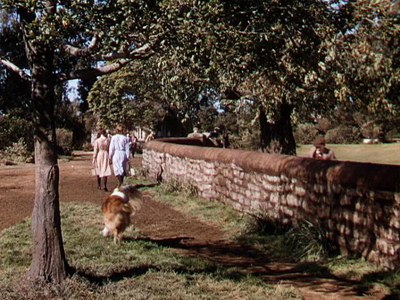 LASSIE_COME_HOME-5.jpg