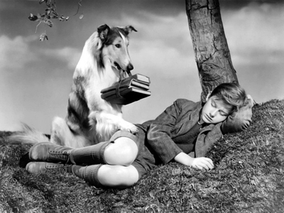 Roddy-McDowell-and-Pal-Lassie-in-Lassie-Come-Home-1943.jpg