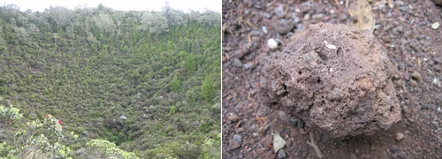 071229 登火山記 (6)