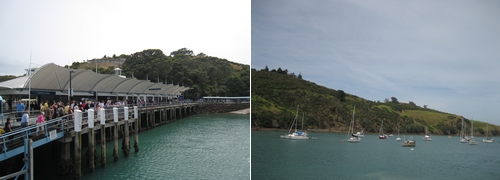 080105 Waiheke Island (上) (2)