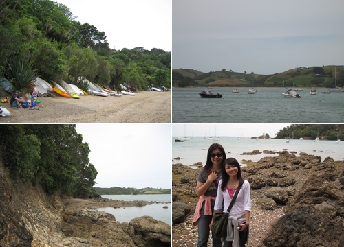 080105 Waiheke Island (上) (6)