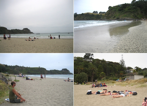 080105 Waiheke Island (下) (2)