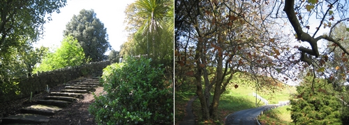 080601 來去火山 - Mt. Eden (2)