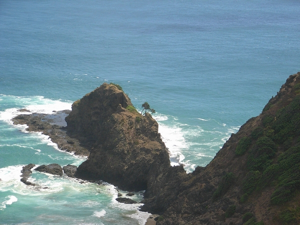 Cape Reinga 一景