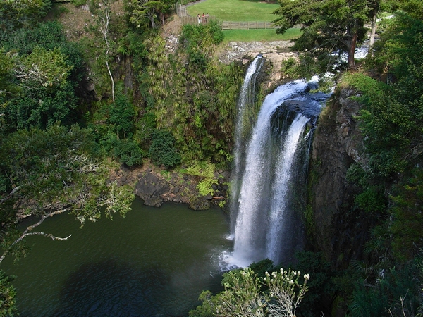 俯瞰 Whangarei Falls