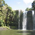 Whangarei Falls