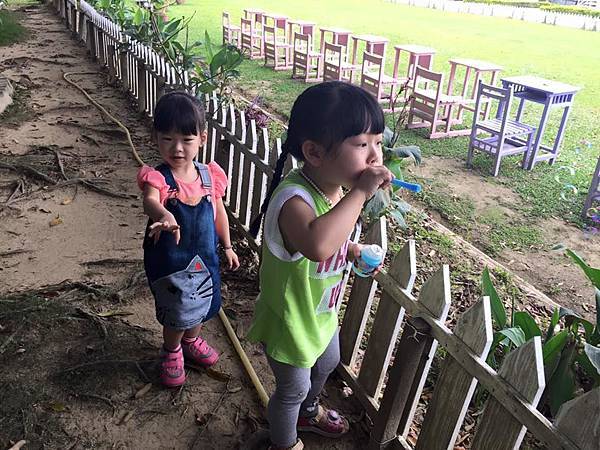 12987078_1130877540269898_625753766856653304_n.jpg 12987078_1130877540269898_625753766856653304_n.jpg