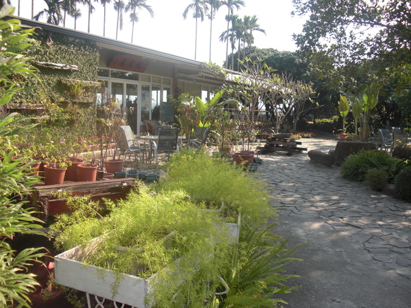 綠意盎然的餐廳庭園