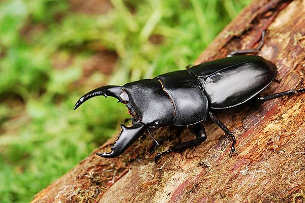 DSC_3254.JPG DSC_3254.JPG