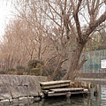 Yanagawa_10.jpg