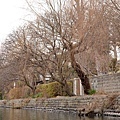 Yanagawa_13.jpg