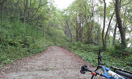 也許明年這條路的終點, 會有新的賞花景點, 先賣個關子.