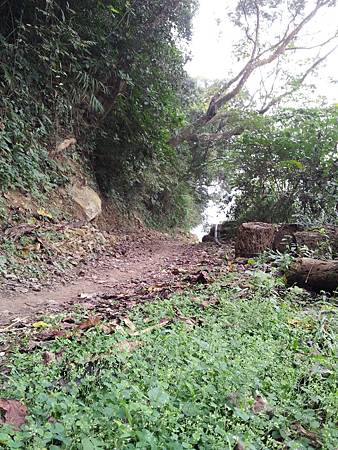 過了吊橋之後, 這種路面大約有 1.4 KM, 看似不難, 可是我卻推車 1 KM... 體力太差 !