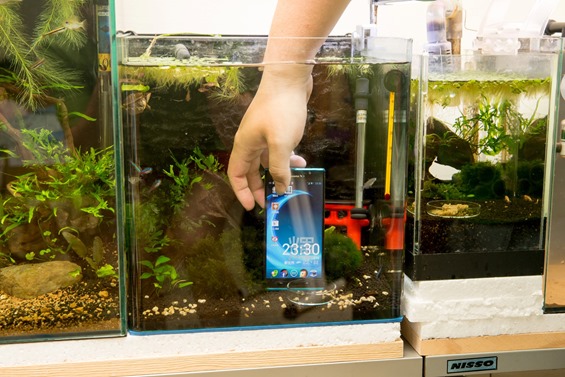 玩真的防水手機 P-02E (2) 再來下魚缸! @3C 達人廖阿輝 77959_10200181697039383_847694857_o