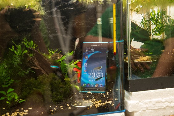 玩真的防水手機 P-02E (2) 再來下魚缸! @3C 達人廖阿輝 892628_10200181690199212_1115314717_o
