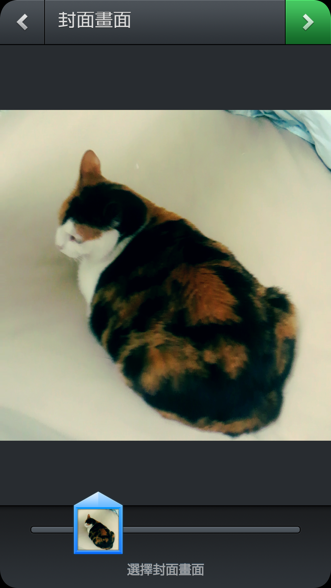 Instagram 支援短片錄製,馬上來試玩! @3C 達人廖阿輝 2013-06-21 02.57.06