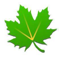 2014-2-12-上午-12-10-56