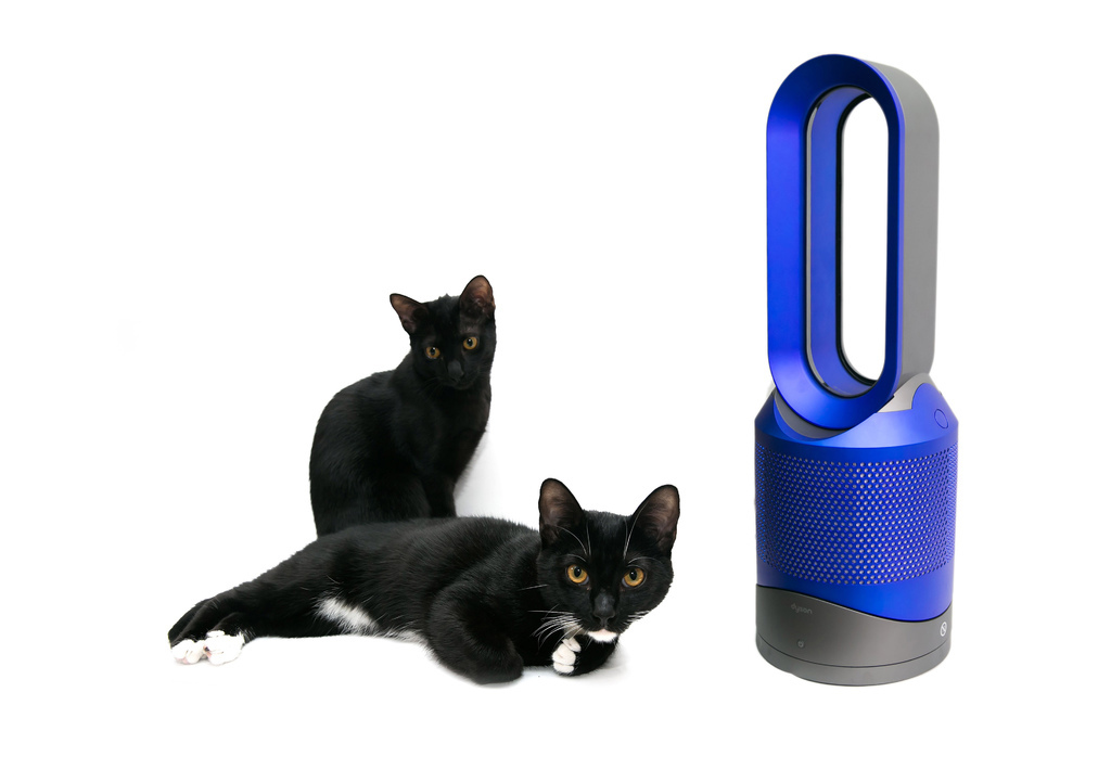 23814689683_e9afa22996_o