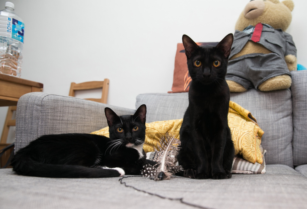 未命名的拍攝-005