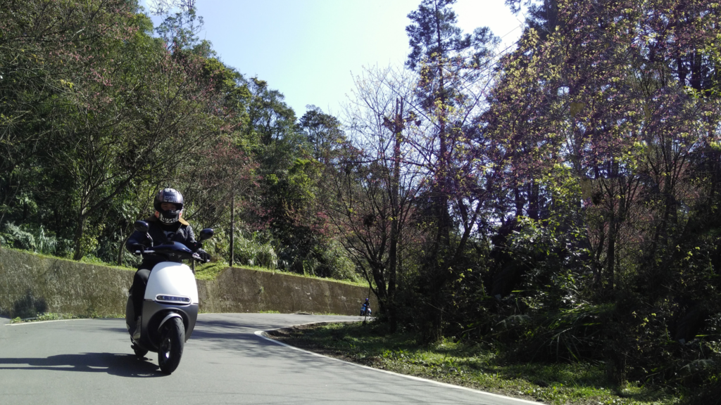 2016-06-26 15_55_21-IMG20160210102646.jpg @ 33.3% (RGB_8) _