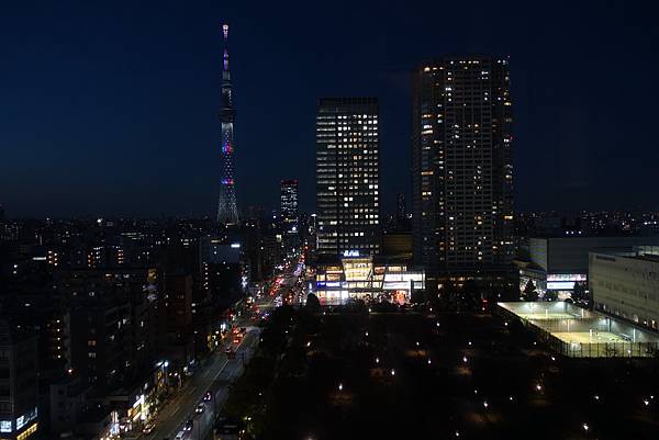 2022年11月21日 明治神宮外苑 黃金大道