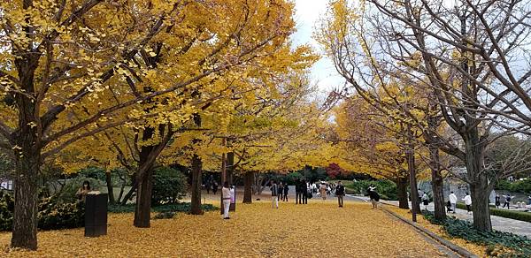 2022年11月22日 北齋美術館 / 國營昭和紀念公園