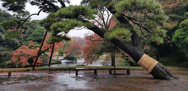 2022年11月23日 東京大學 / 小石川後樂園 / To