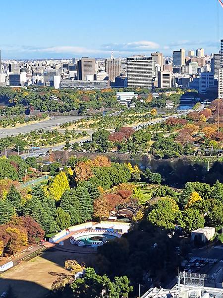 2022年11月23日 東京大學 / 小石川後樂園 / To