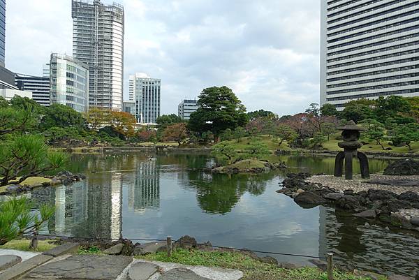 2022年11月28日 築地市場 / 築地本願寺 / Car