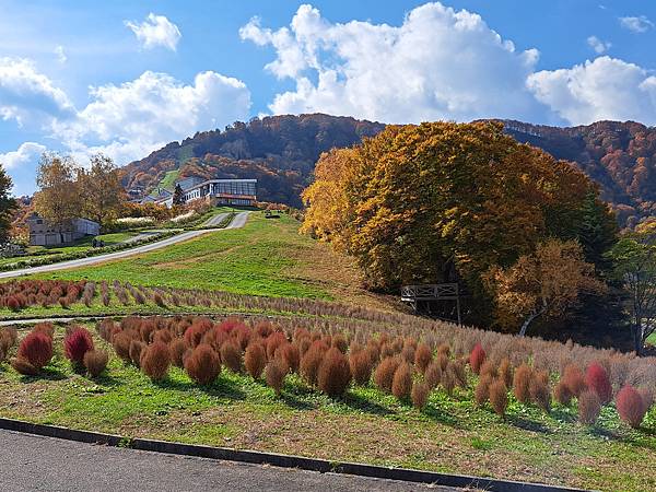 2023年10月 27日 秋天的湯澤高原/輕井澤王子商場