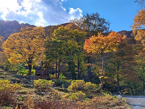 2023年10月 27日 秋天的湯澤高原/輕井澤王子商場