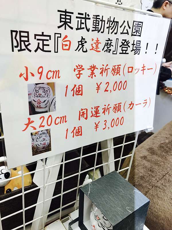 東京 埼玉 Day1日本白老虎餵食初體驗 是動物園還是遊樂園 東武動物公園 含16冬季燈光秀資訊 Ai Say愛講講什麼 旅遊強迫症 痞客邦