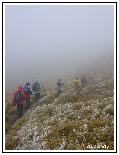 努力登山的背影.JPG