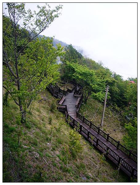 天池山莊-往池堂的路上.JPG