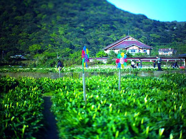 焦距跑到房子上了阿阿阿