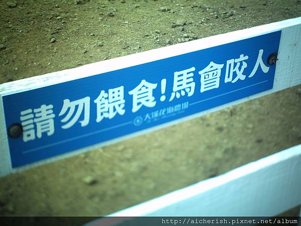 『請勿餵食! 馬會咬人』