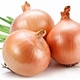 All-About-Onions-on-TheShiksa.com-history-cooking-tutorial.jpg