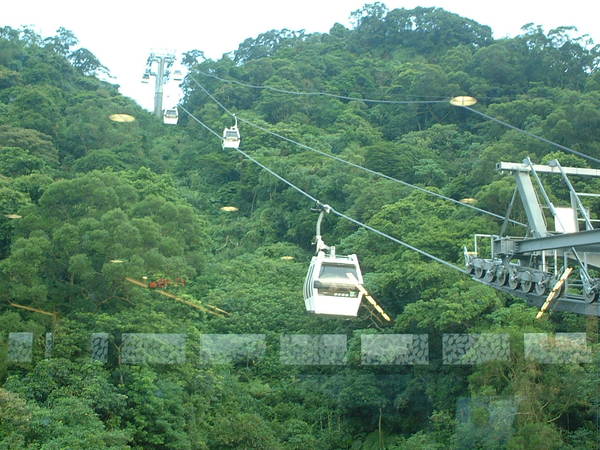 貓覽還真恐怖刺激